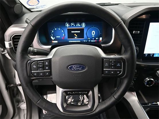 2024 Ford F-150 Platinum photo 9
