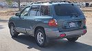 2002 Hyundai Santa Fe LX image 5