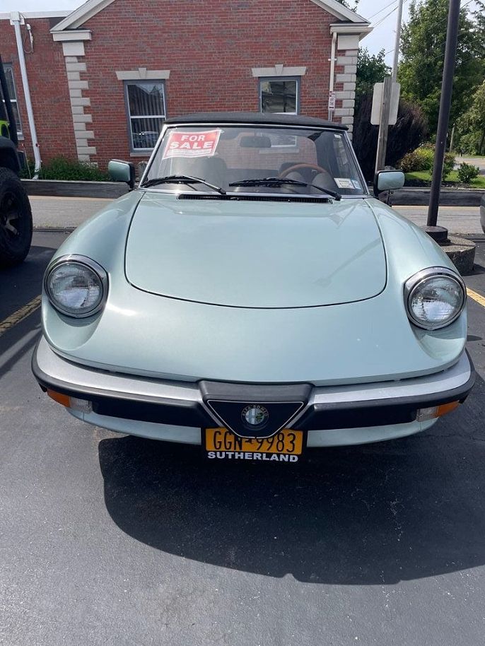 1985 Alfa Romeo Spider