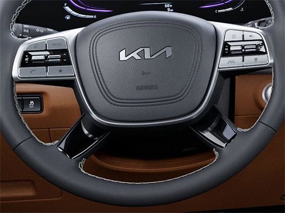 2025 Kia Telluride EX X-Line photo 11