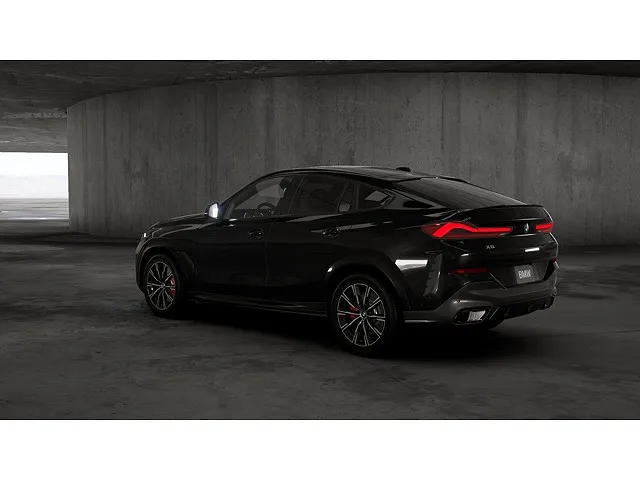 2026 BMW X6