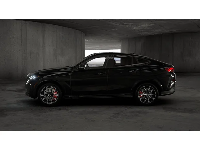 2026 BMW X6