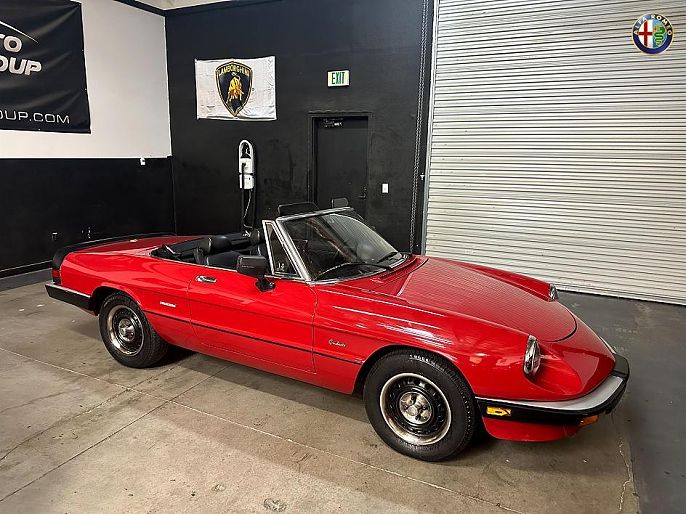 1986 Alfa Romeo Spider