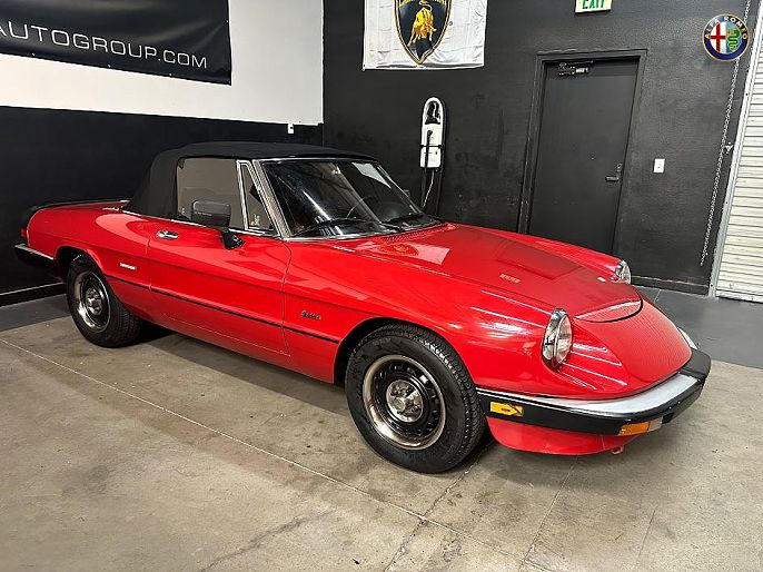 1986 Alfa Romeo Spider