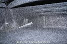 1998 Ford Mustang Cobra image 88