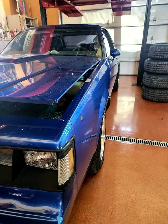1987 Buick Regal