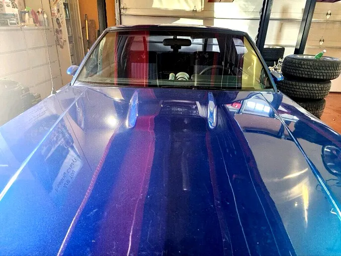 1987 Buick Regal