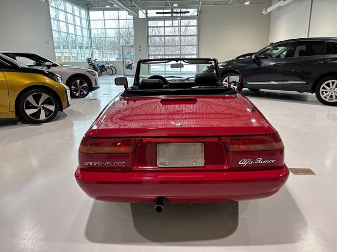 1993 Alfa Romeo Spider