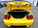 2004 Ford Mustang Mach 1 image 12