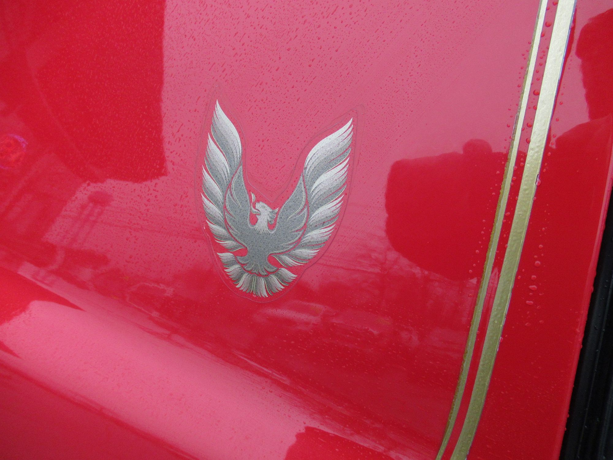 1990 Pontiac Firebird Formula image 7
