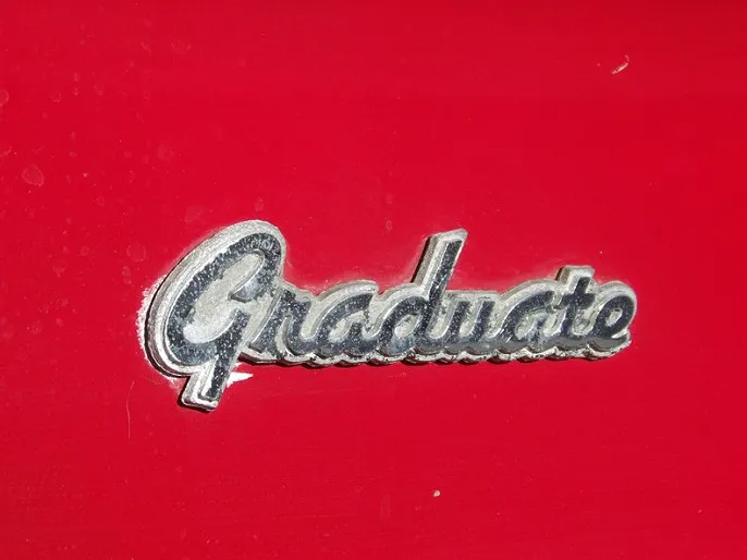 1986 Alfa Romeo Spider