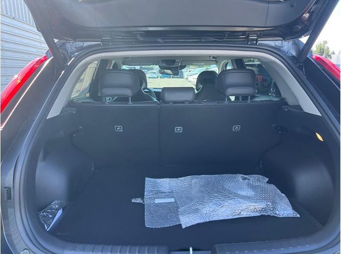 2026 Kia Niro EV