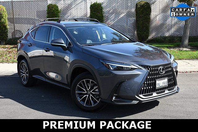 2025 Lexus NX
