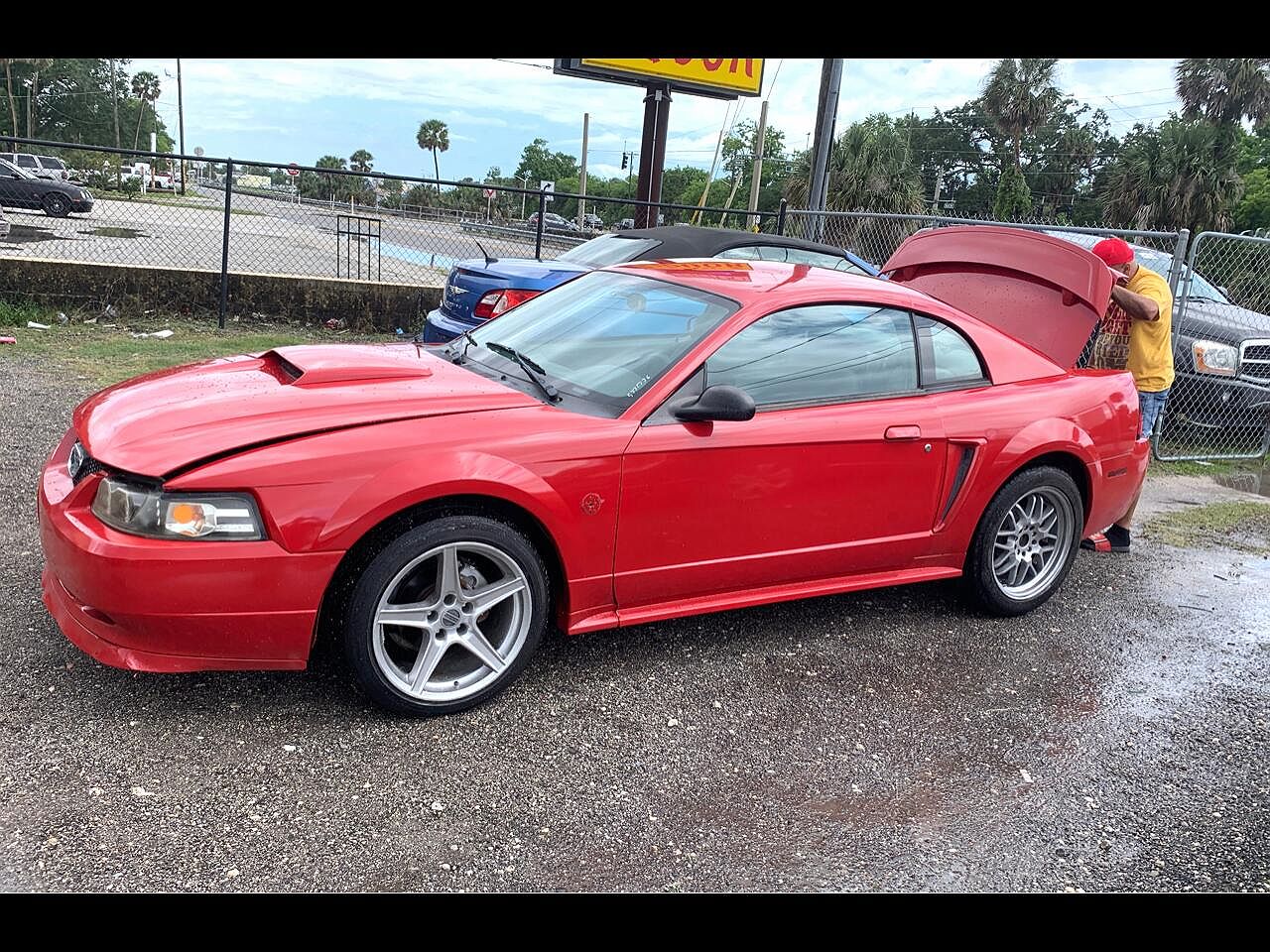 2004 Ford Mustang Standard image 0