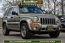 2004 Jeep Liberty Renegade image 0