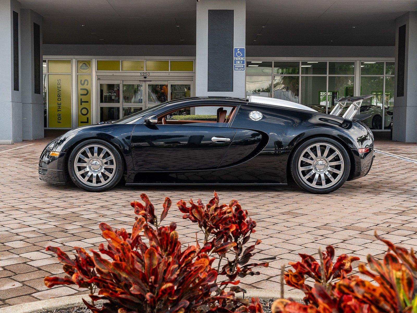 2006 Bugatti Veyron null image 6