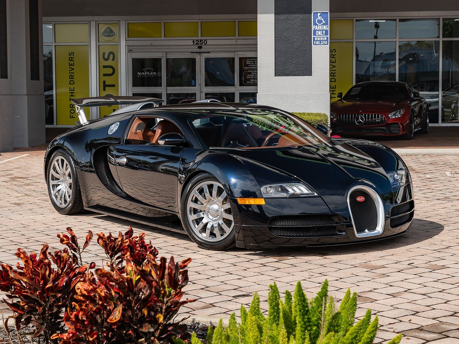 2006 Bugatti Veyron null image 8