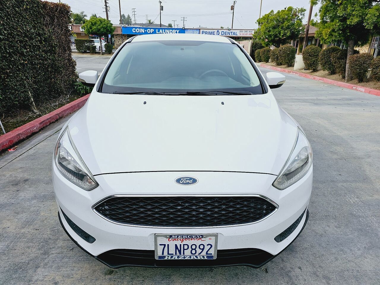 2015 Ford Focus SE image 2