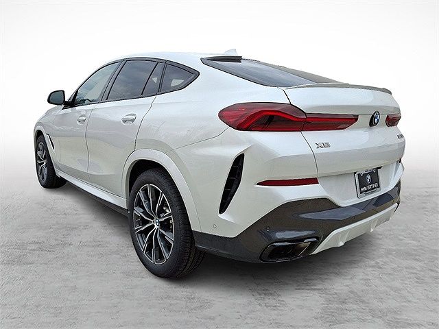 2023 BMW X6