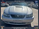 2000 Ford Mustang Base image 8