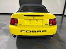 2003 Ford Mustang Cobra image 3