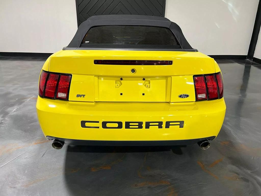 2003 Ford Mustang Cobra image 3