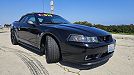 1999 Ford Mustang Cobra image 3