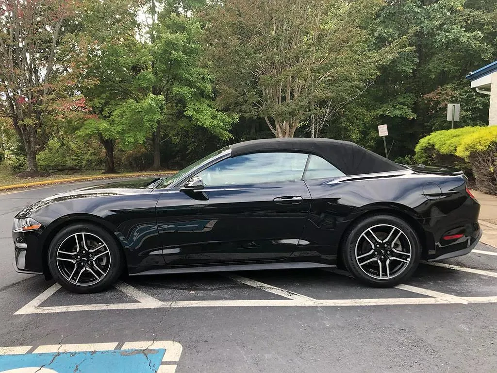 2019 Ford Mustang null image 2