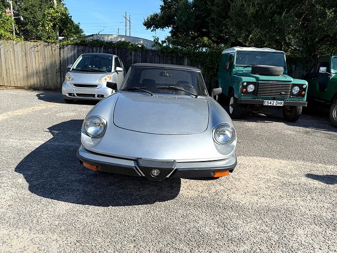 1981 Alfa Romeo Spider