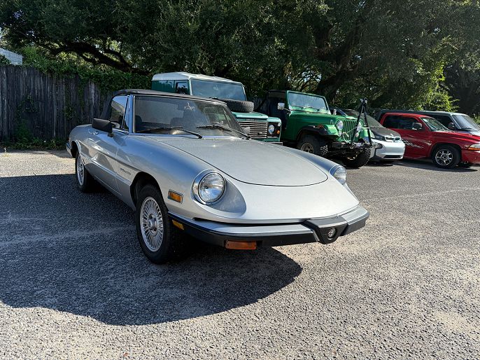 1981 Alfa Romeo Spider