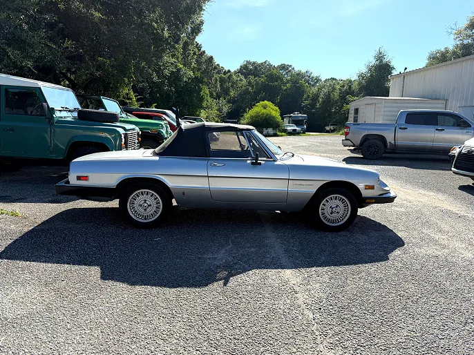 1981 Alfa Romeo Spider