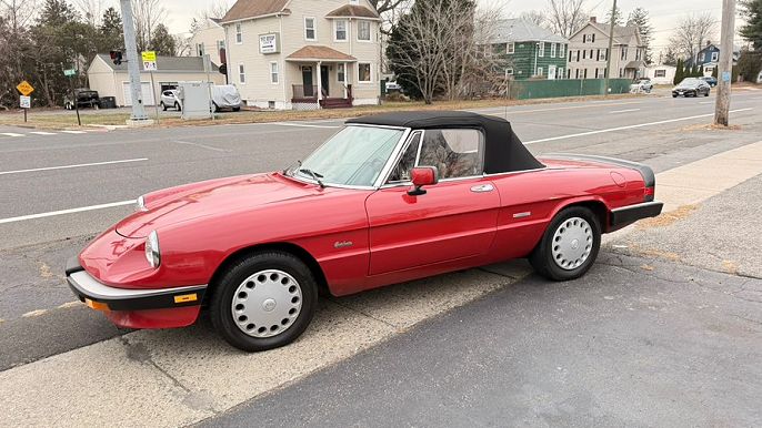 1988 Alfa Romeo Spider