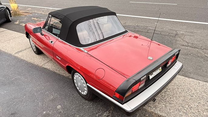 1988 Alfa Romeo Spider