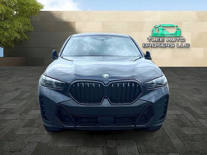 2024 BMW X6