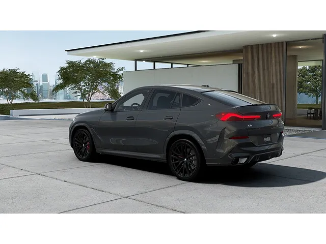 2026 BMW X6