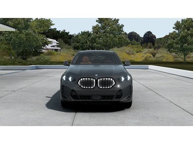 2026 BMW X6