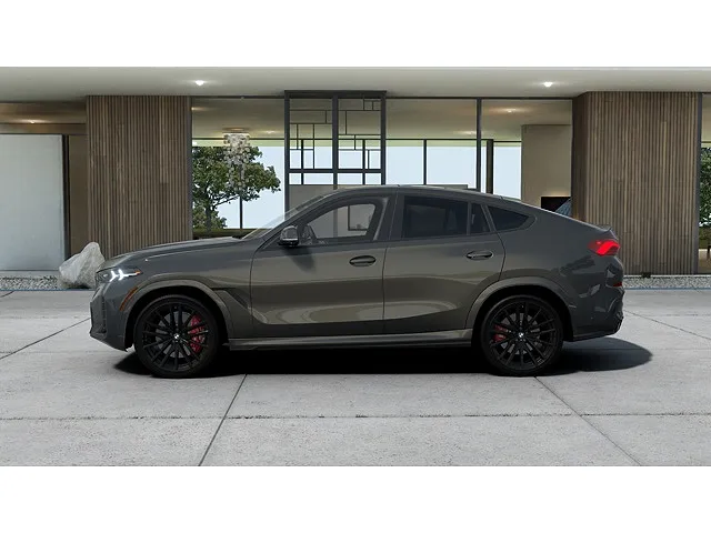 2026 BMW X6