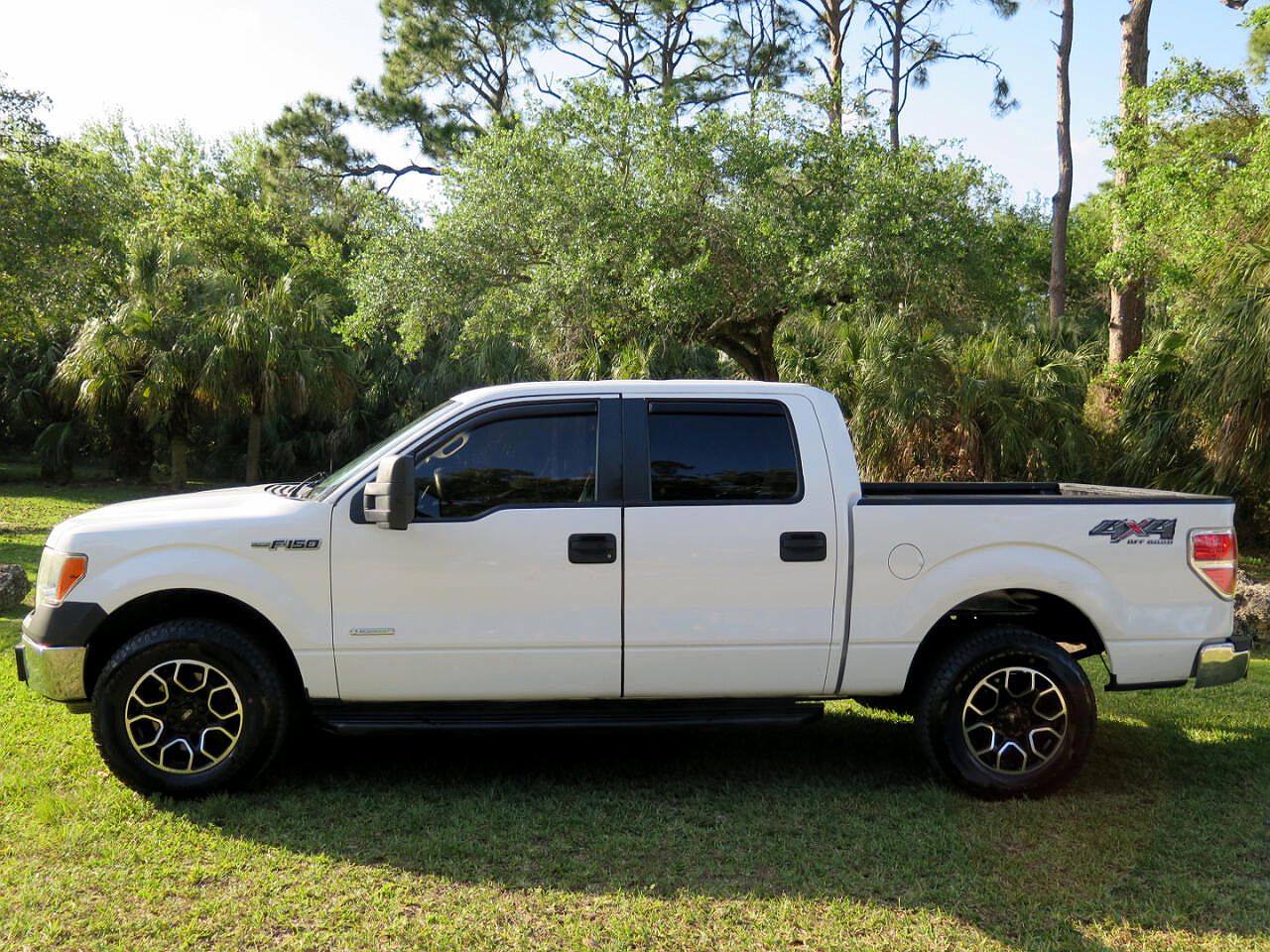 2014 Ford F-150 FX4 image 3