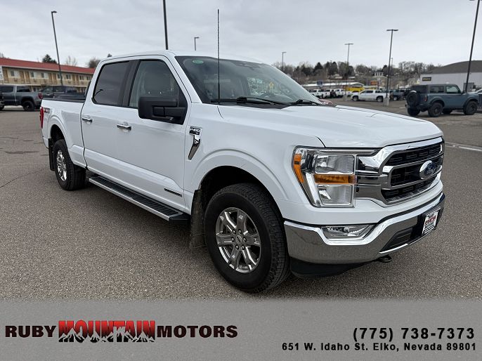 2023 Ford F-150