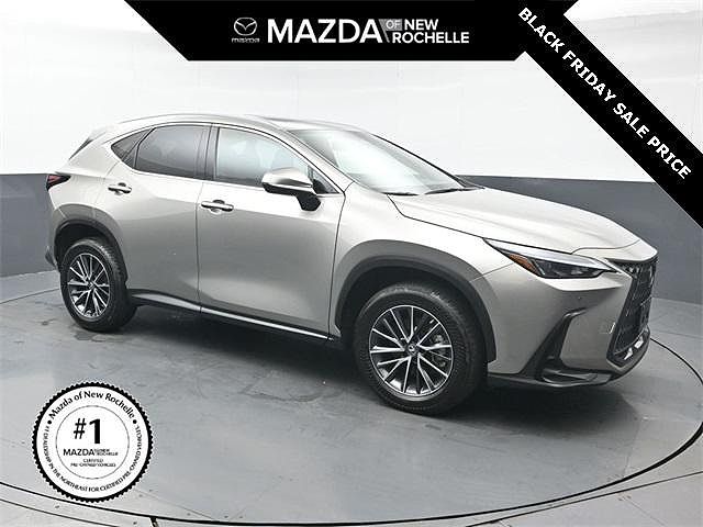 2023 Lexus NX