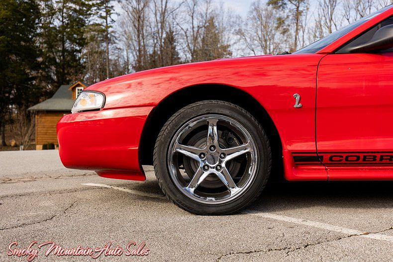 1997 Ford Mustang Cobra image 3