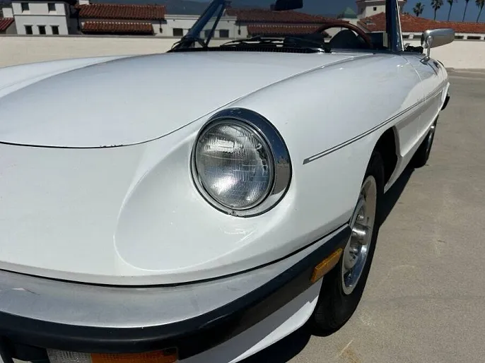 1985 Alfa Romeo Spider