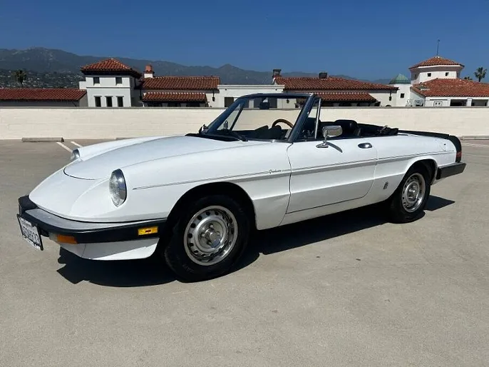1985 Alfa Romeo Spider