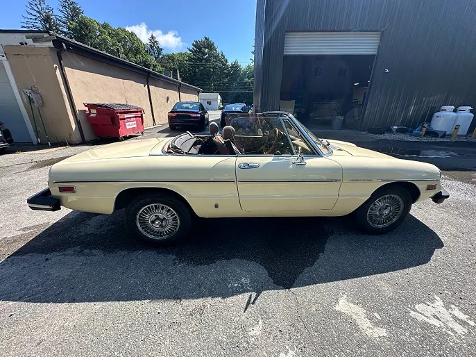 1982 Alfa Romeo Spider