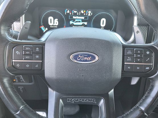 2021 Ford F-150 Raptor photo 11