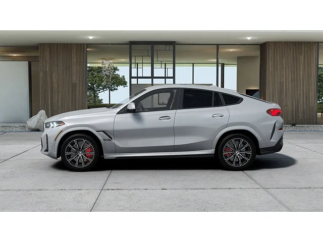 2026 BMW X6