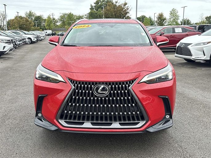 2024 Lexus NX