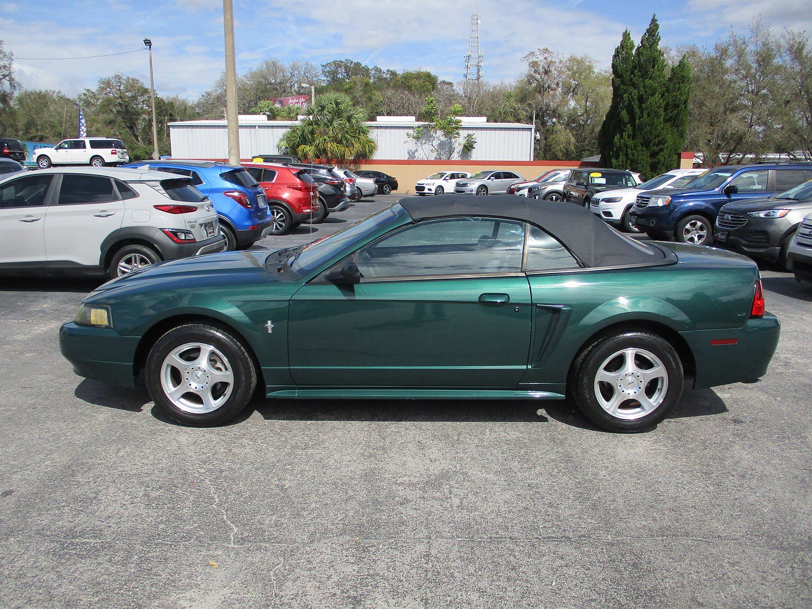 2003 Ford Mustang null image 1