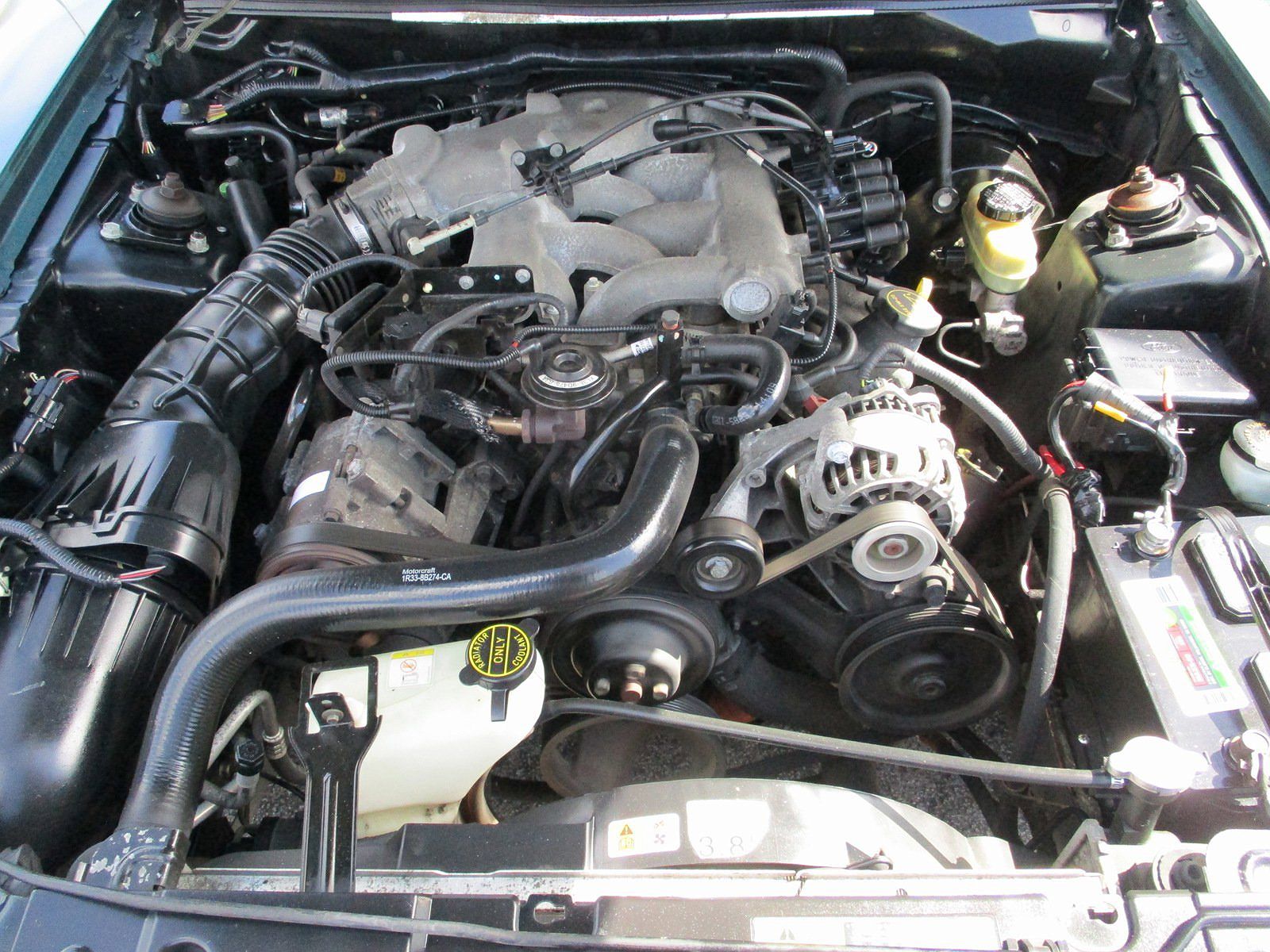 2003 Ford Mustang null image 8