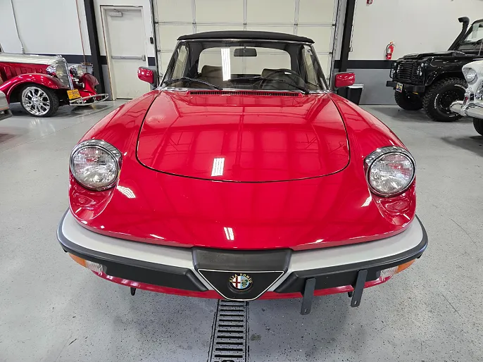 1989 Alfa Romeo Spider